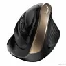 Мышь беспроводная Genius Ergo 8250S Champagne/Black Wireless