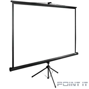 Экран Cactus TriExpert CS-PSTE-220x220-BK 220x220 см 1:1 напольный рулонный