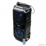 Dialog Oscar AO-11 - акустическая колонка 1.0, 26W RMS, Караоке c микрофоном, BT+FM+USB+SD+LED