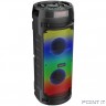 Ginzzu GM-219 {(V5.0), 50Вт, 150Гц- 18кГц, USB-flash, microSD-card, FM-радио, пульт ДУ, батарея 3,6В/4500мАч, эквалайзер }